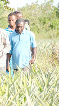 GIE Lonlonyo bon 208x370 - PRADEB : les b&eacute;n&eacute;ficiaires t&eacute;moignent &hellip;