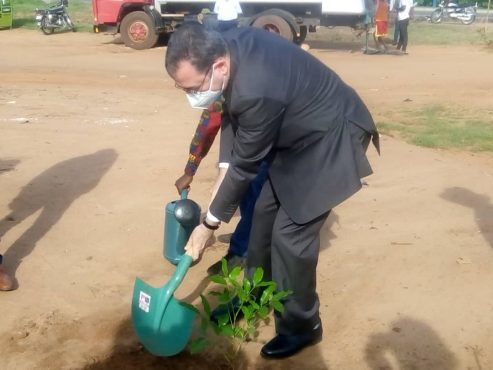 Ambassadeur Egypte Togo 493x370 - Journ&eacute;e de l&rsquo;arbre : 1000 plants mis en terre dans la commune Golfe 3