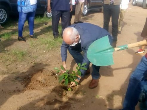 Bruno Hans Amb. UE Togo 493x370 - Journ&eacute;e de l&rsquo;arbre : 1000 plants mis en terre dans la commune Golfe 3