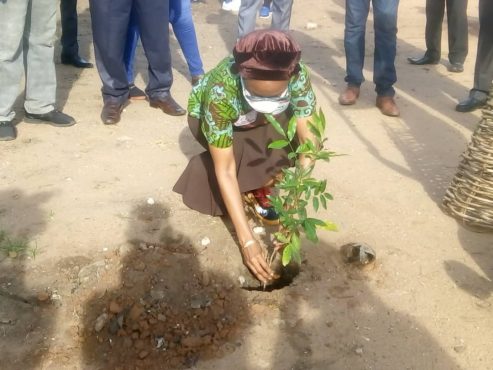 IGE Olatokoumbo 493x370 - Journ&eacute;e de l&rsquo;arbre : 1000 plants mis en terre dans la commune Golfe 3